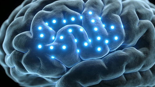 Neuroscience visualization of the prefrontal cortex and executive function being restored during sleep.
