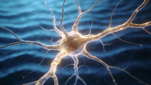 Microscopic view of neural connections and synaptic pruning occurring during deep slow-wave sleep.