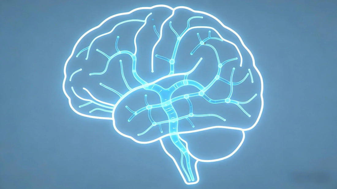 The Brain's Nightly "Janitor": Why Deep Sleep is the Secret to a Sharper Mind