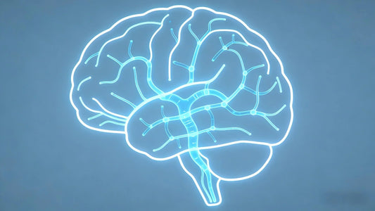 The Brain's Nightly "Janitor": Why Deep Sleep is the Secret to a Sharper Mind